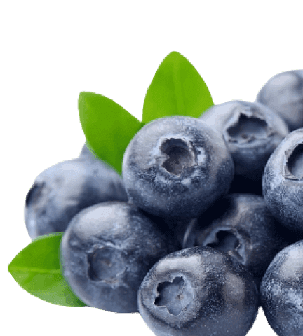 Home care & everyday essentials