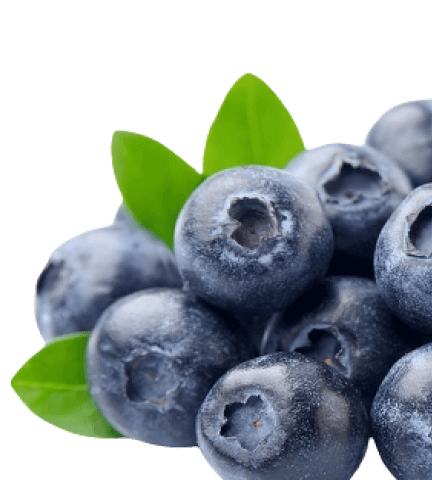 Home care & everyday essentials